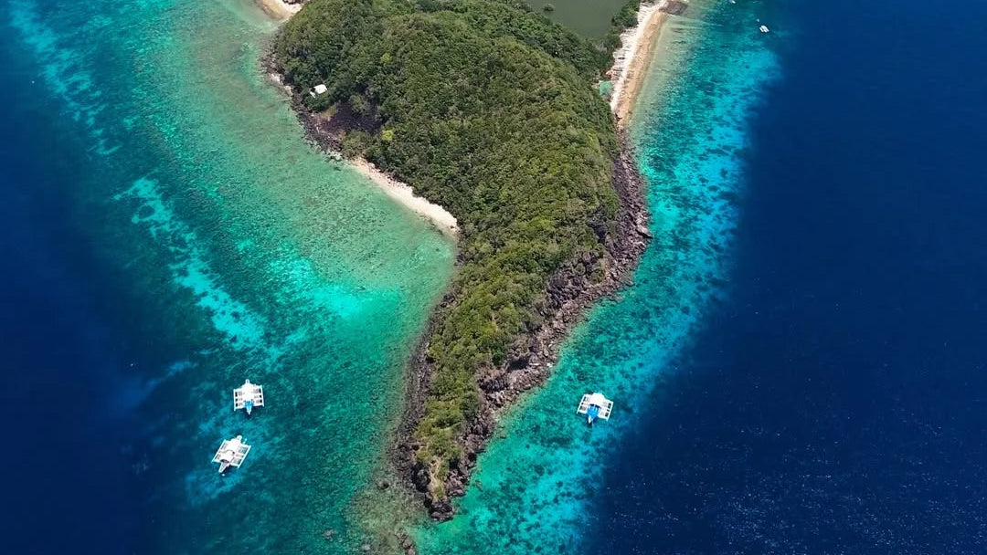 Snorkeling with sea turtles in the crystal-clear waters of Apo Island near Dumaguete, Philippines.