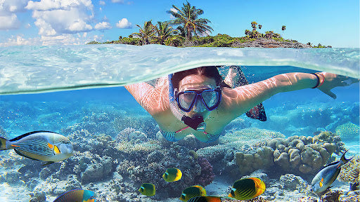 Apo island day trip. Top things to do in Dumaguete