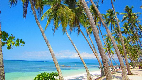 Siquijor island day trip. Top things to do in Dumaguete