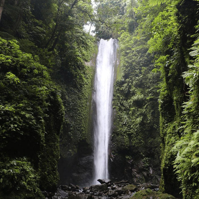 Waterfall surrounded by lush greenery in a tropical forest